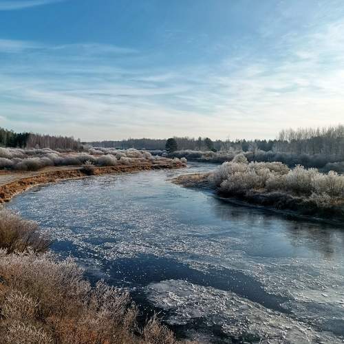 Photo #9193741