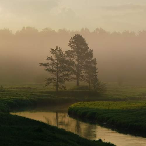 Photo #9193804