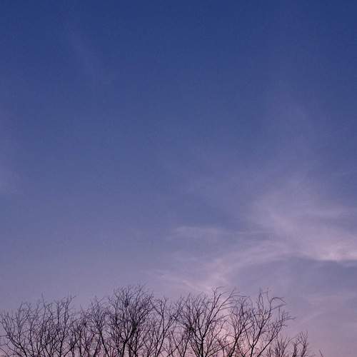 Photo #9193878