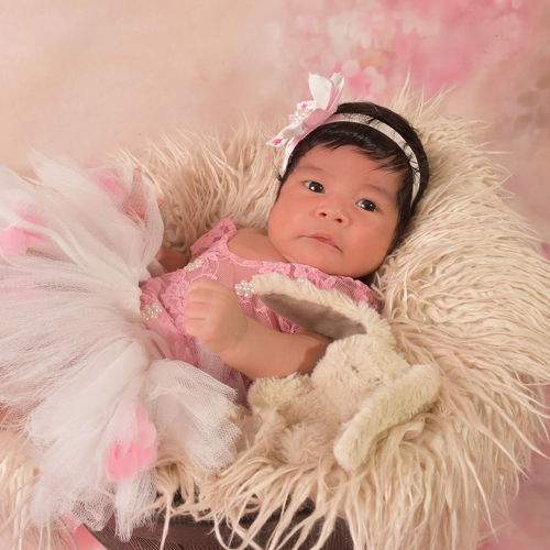 Photo #9193945