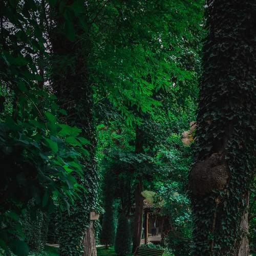 Photo #9193959