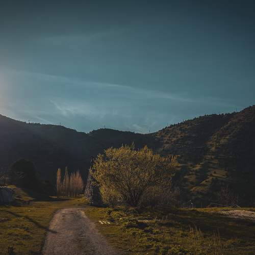 Photo #9193976