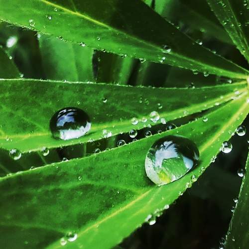 Photo #9194025
