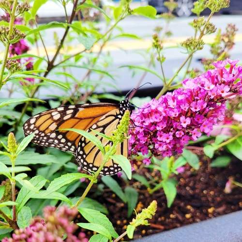 Photo #9194066