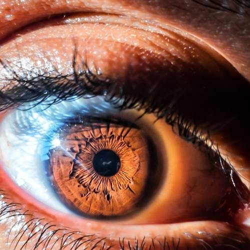 Photo #9194261