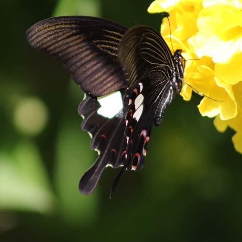 Photo #9194368