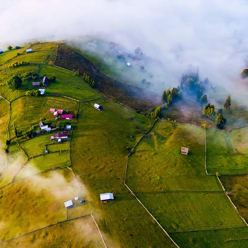 Photo #9194475