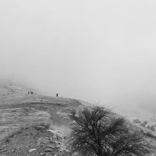 A dismal day