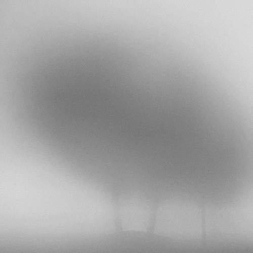 Dense fog