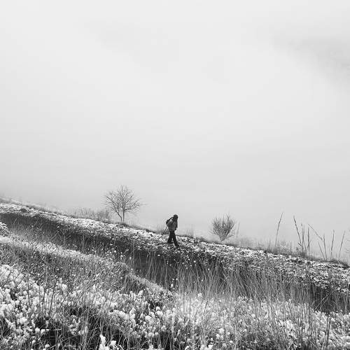 Fog in the mountain