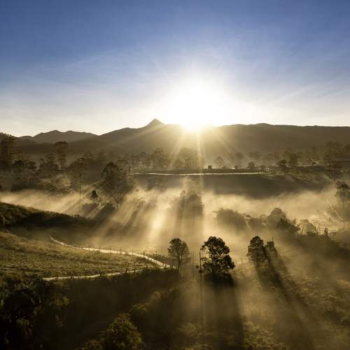 Фотография #9194912