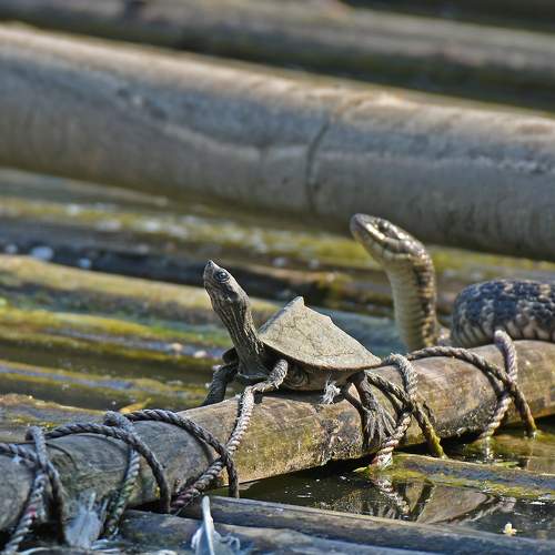 Photo #9194935