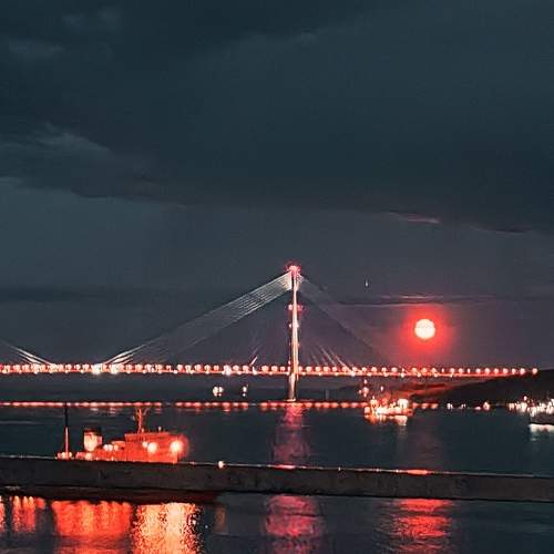 Photo #9194937