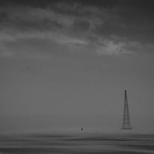 Photo #9194965