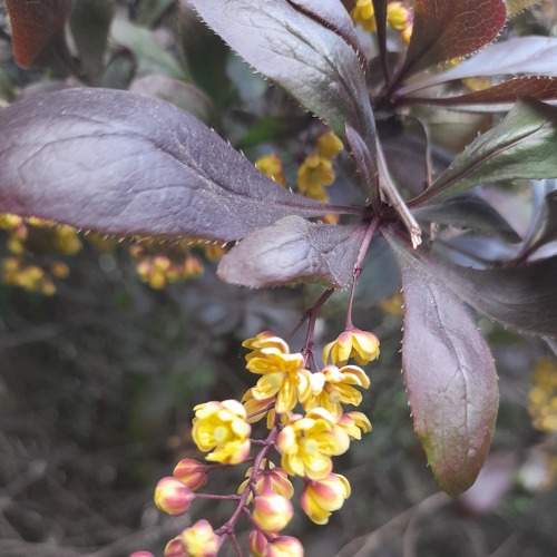 Photo #9195008