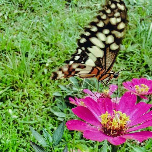 Photo #9195078
