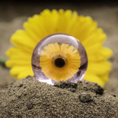 Photo #9195232