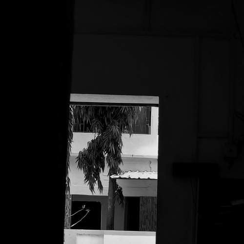 Black and white