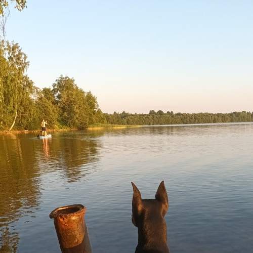 Photo #9195397