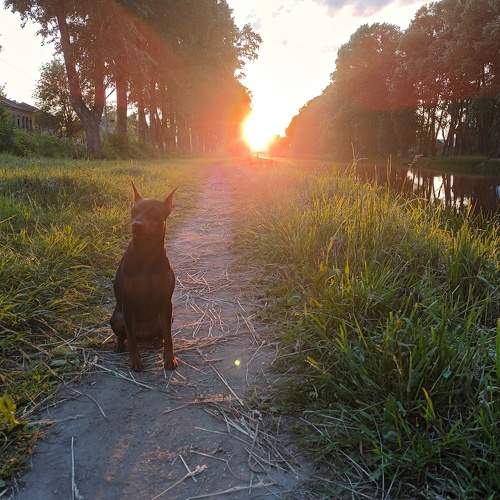 Photo #9195399