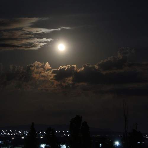 Photo #9195478