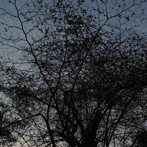 Photo #9195482