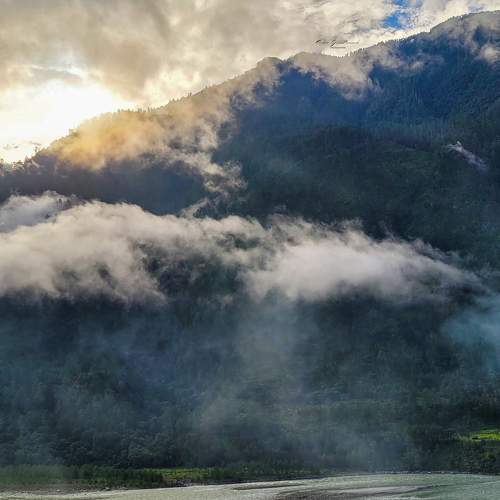 Photo #9195683