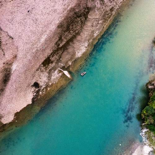 Photo #9195691