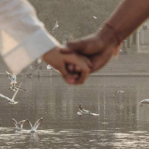 Photo #9195819