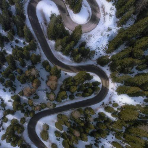 Photo #9195858