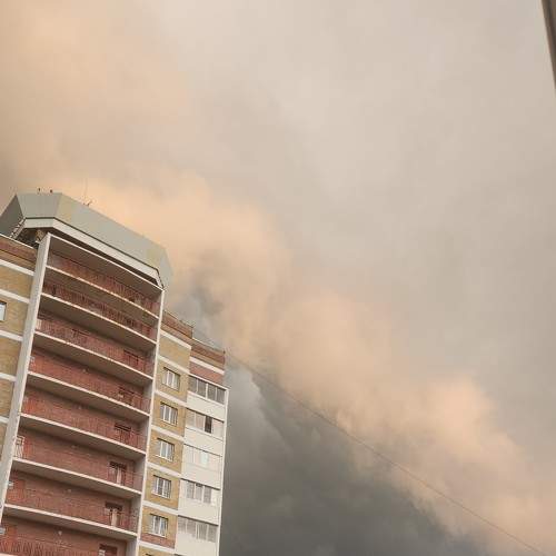 Photo #9195879