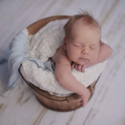 Photo #9195904