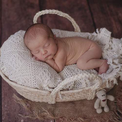 Photo #9195906