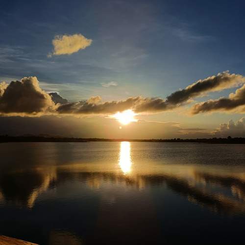 Photo #9195973
