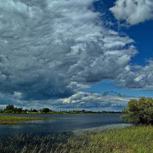Photo #9196007