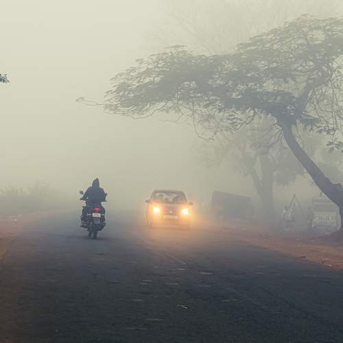 Photo #9196041
