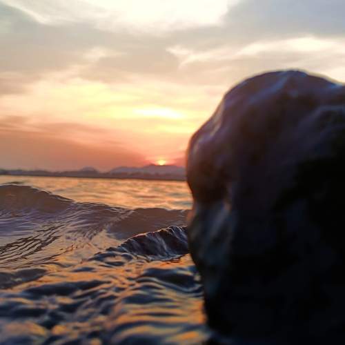 Photo #9196077