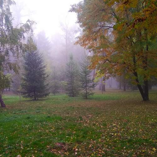 Photo #9196362