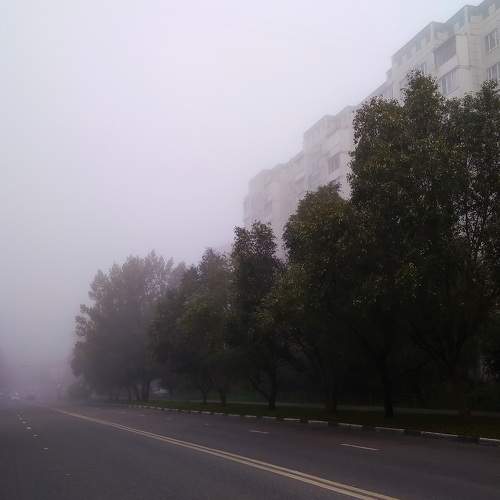 Photo #9196381