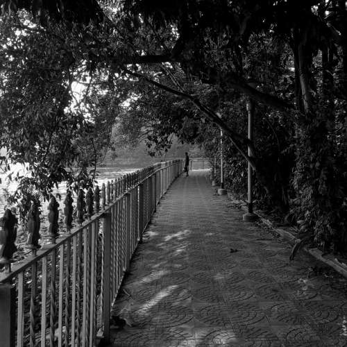 Photo #9196389