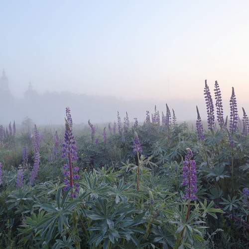 Photo #9196520
