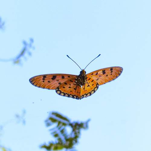 Photo #9196523