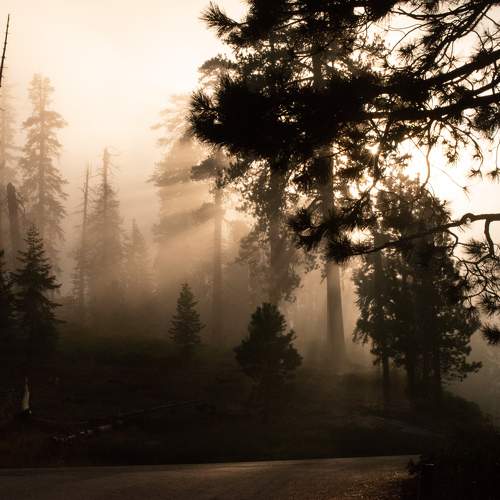 Photo #9196524