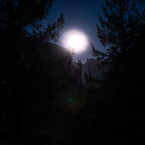 Photo #9196538