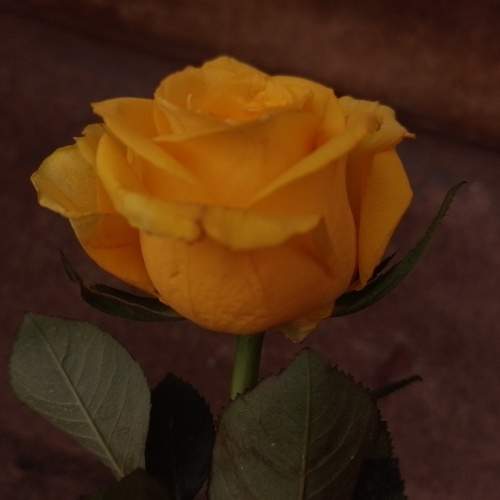 Photo #9196691