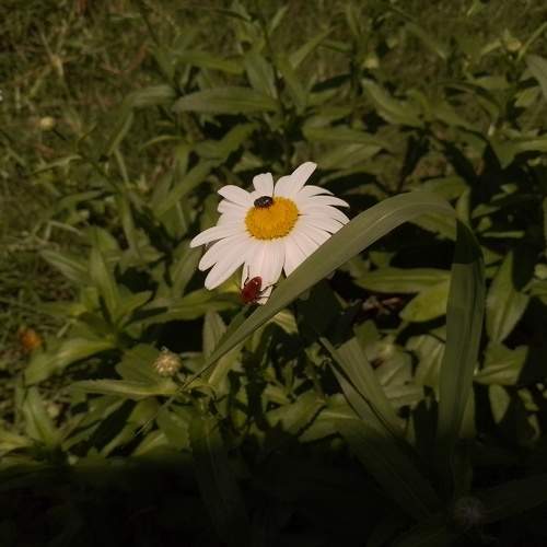 Photo #9196715