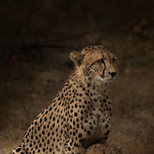 Photo #9196808
