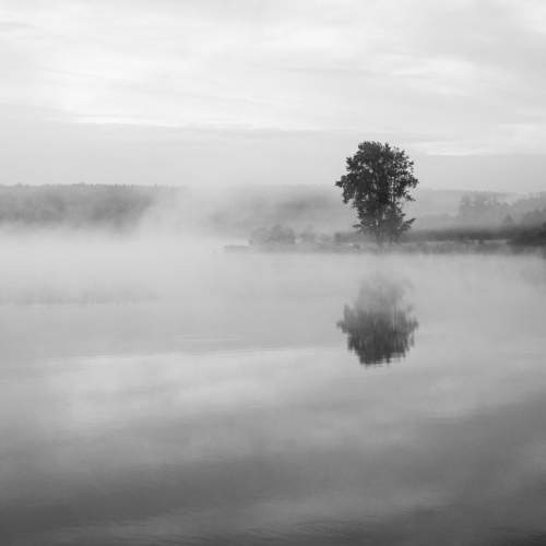Photo #9196860