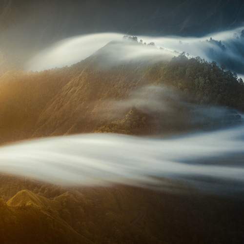 Photo #9196981