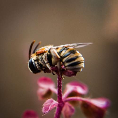 Photo #9197171